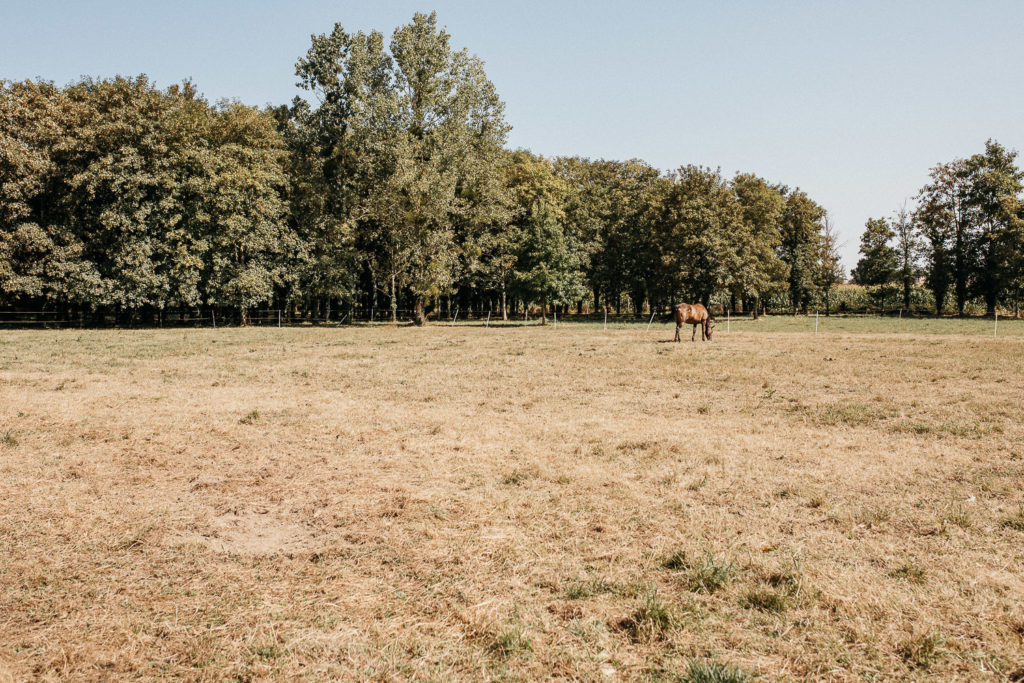 Mariage faste et aristocratique Anjou_Marc Ribis Photography_Photographe de mariage