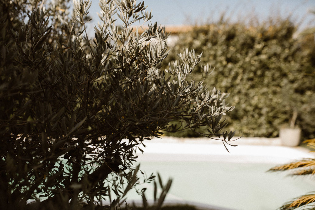 Rebecca & Romain - Mariage champêtre au domaine de Buzarens - Montpellier - Occitanie - Marc Ribis