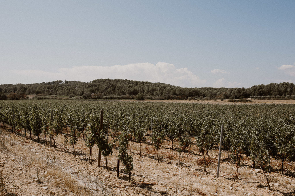 Rebecca & Romain - Mariage champêtre au domaine de Buzarens - Montpellier - Occitanie - Marc Ribis