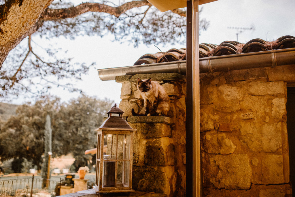 Alice & Quentin_Mariage kinfolk à Avignon_Domaine Le Grand Belly_Rochefort du Gard_Marc Ribis_Photographe de mariage