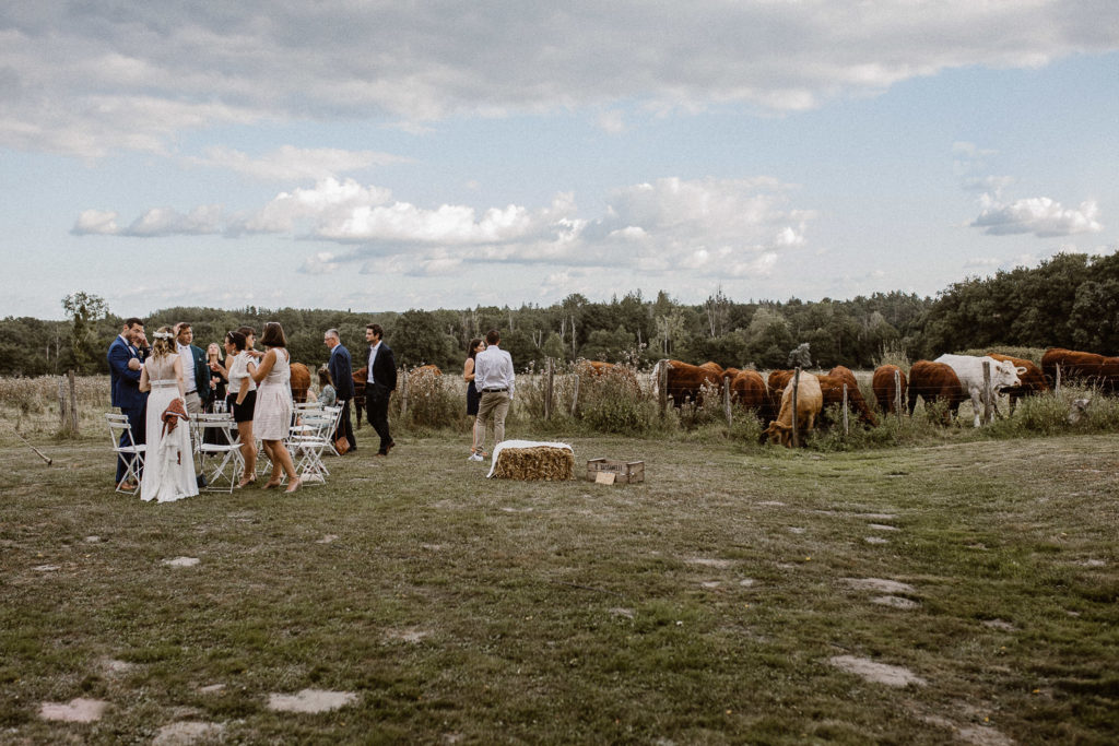 Mariage_La châtellerie_Sologne_Marc Ribis_Photographe Mariage