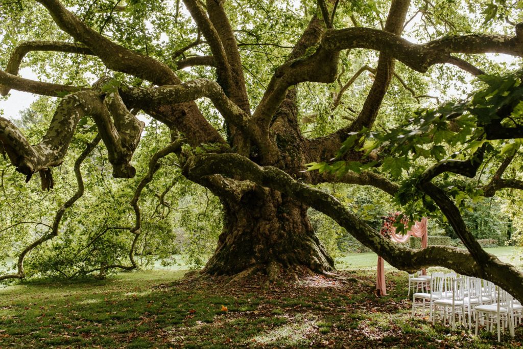 Marc Ribis_photographe de Mariages_Cérémonie laïque_ Château d'Aunoy